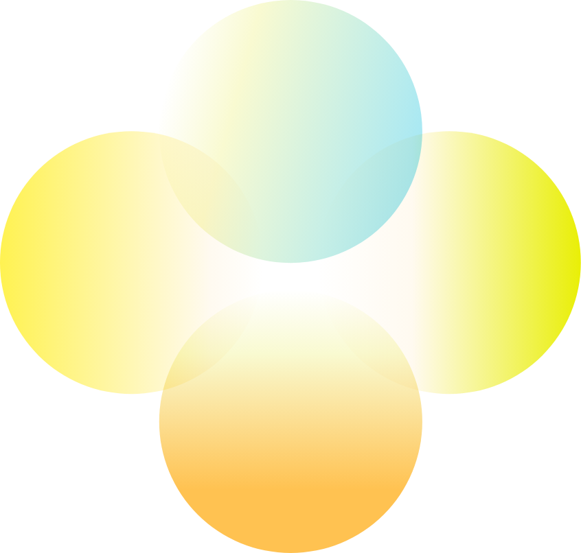 4 colorful, overlapping circles with one equity principle listed in each